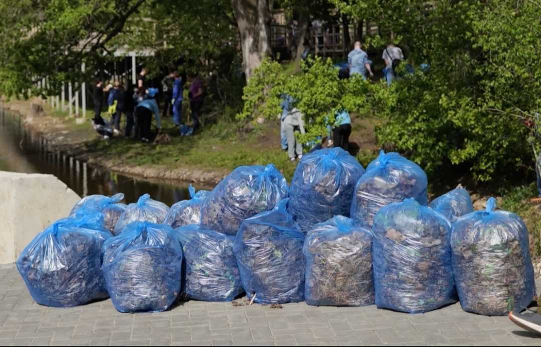 «Непонятно, кто должен вывезти мусор?»: саратовцы после субботника утопают в отходах