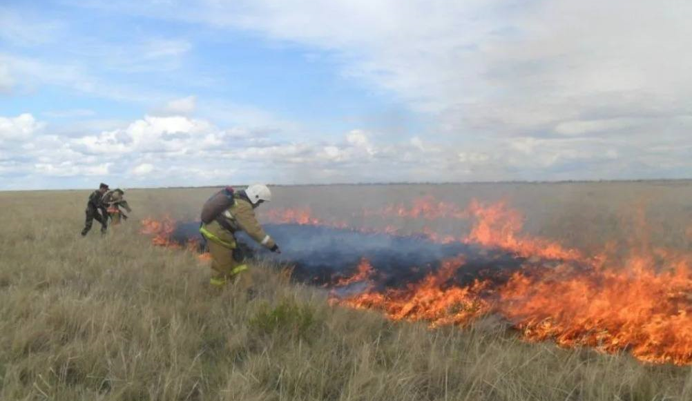 Саратовские пожарные 340 раз тушили сухую траву