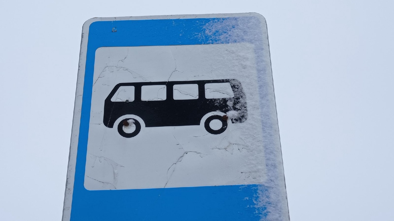 С 13 апреля в Саратове начнут курсировать дачные автобусы