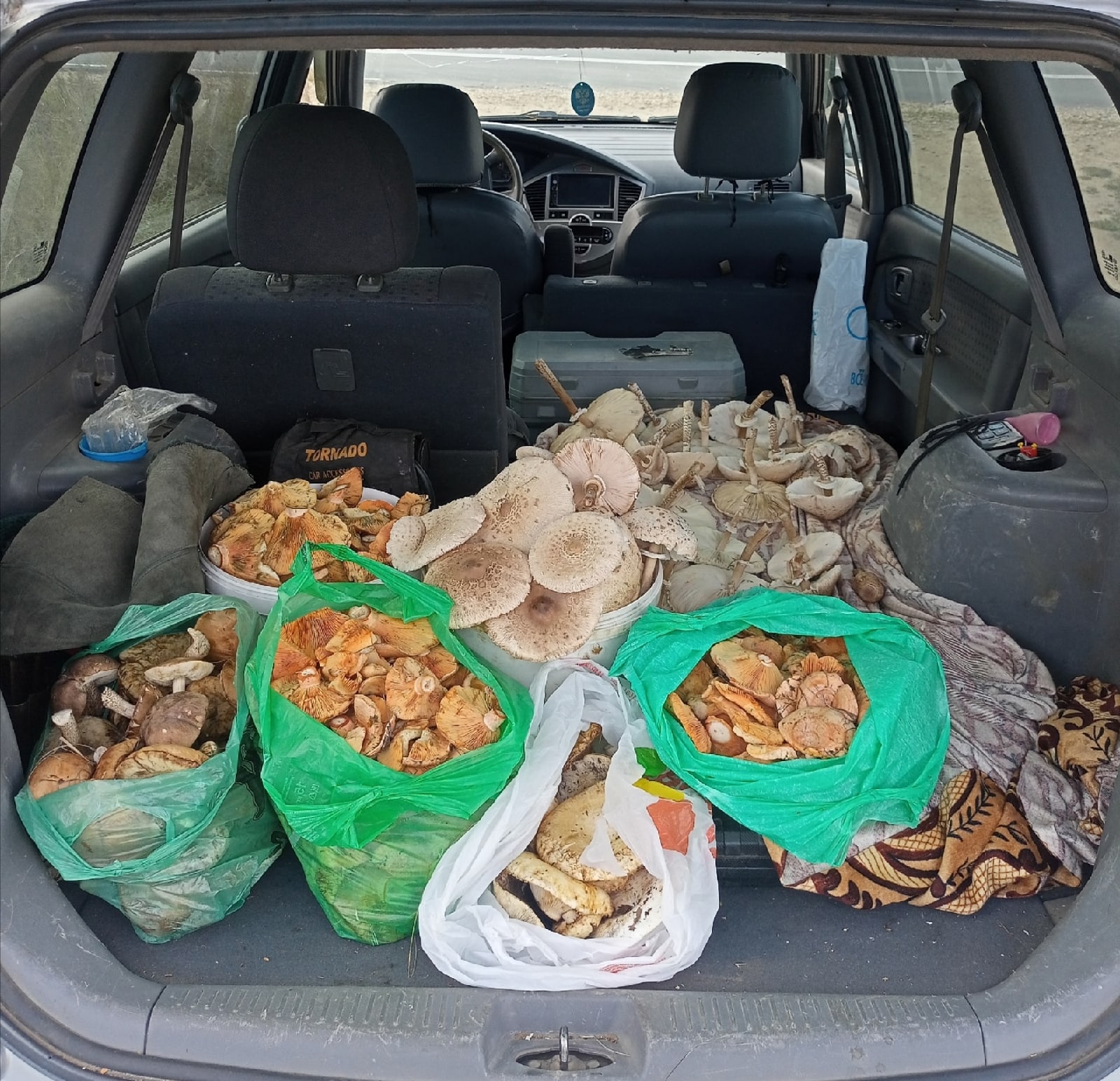 “Удачная получилась охота”: за выходные саратовцы набрали десятки килограммов грибов