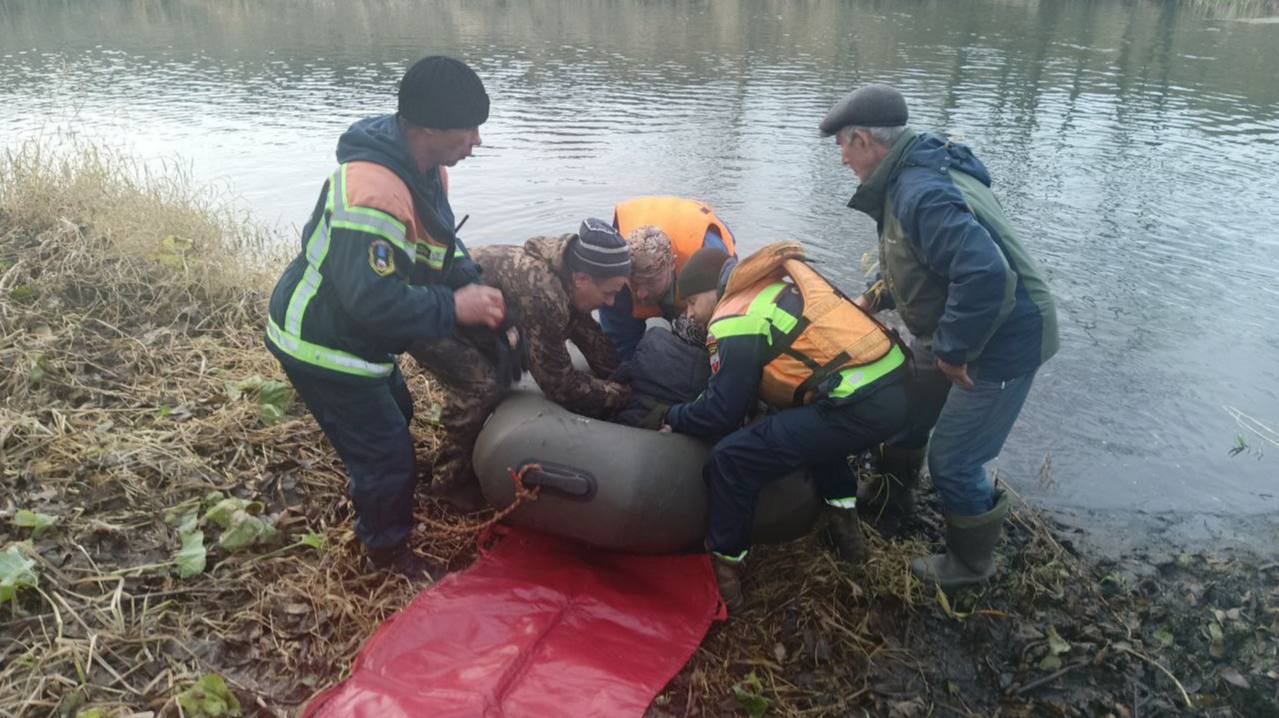 В Аткарском районе 84-летняя жительница отправилась за грибами и провела ночь в лесу