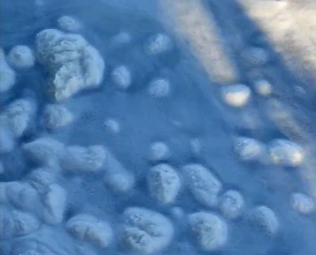 В Волге на набережной Саратова заметили необычное скопление пены