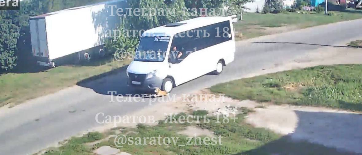 В Энгельсе пассажирская маршрутка дважды переехала собаку
