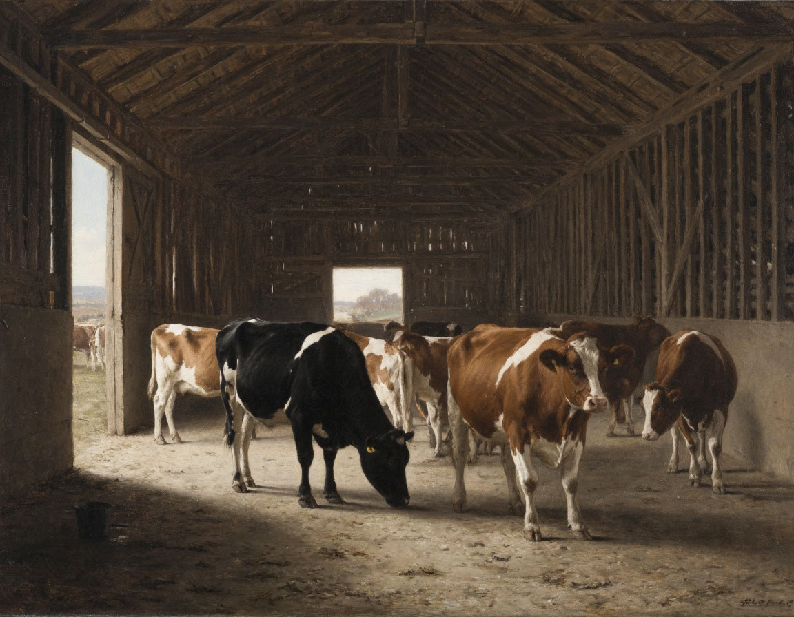 Нелегальную скотину обнаружили на саратовском хуторе