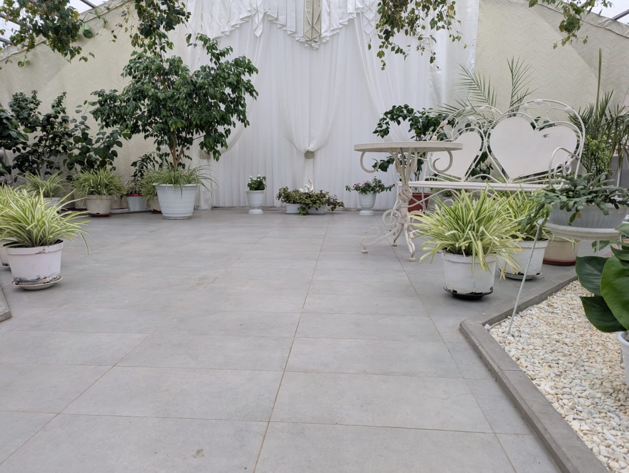 В Вольске открылась городская оранжерея В Вольске открылась городская оранжерея