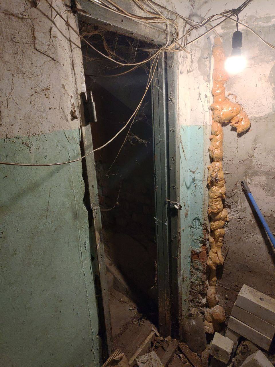 Дом с тараканами и мокрицами