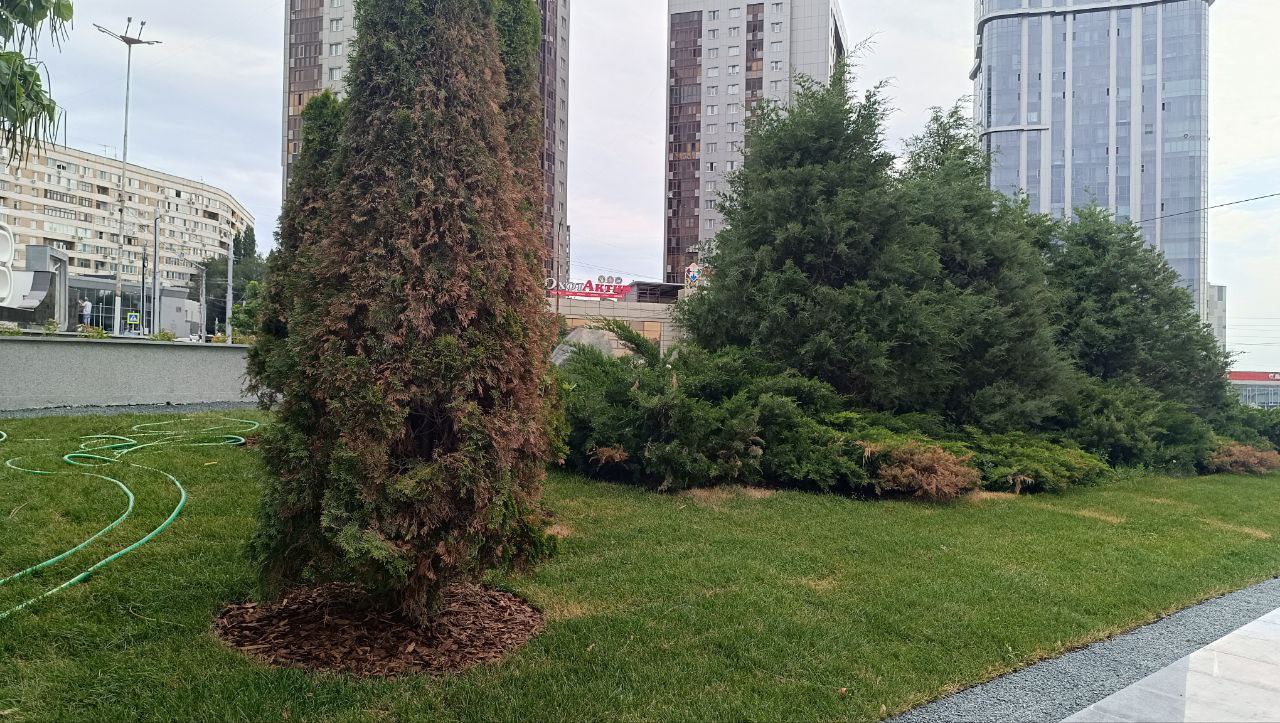 Славянская площадь благоустройство 5