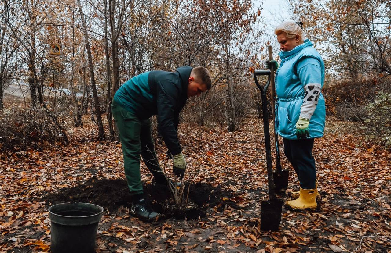 Высадка деревьев в Территории детства