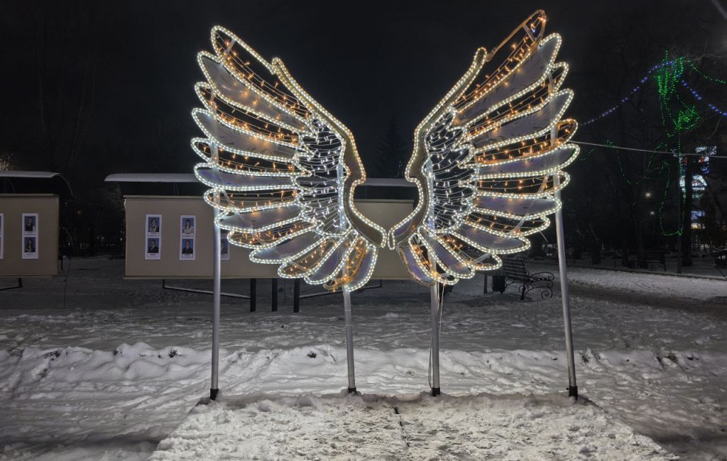 Крылья в Заводском районе