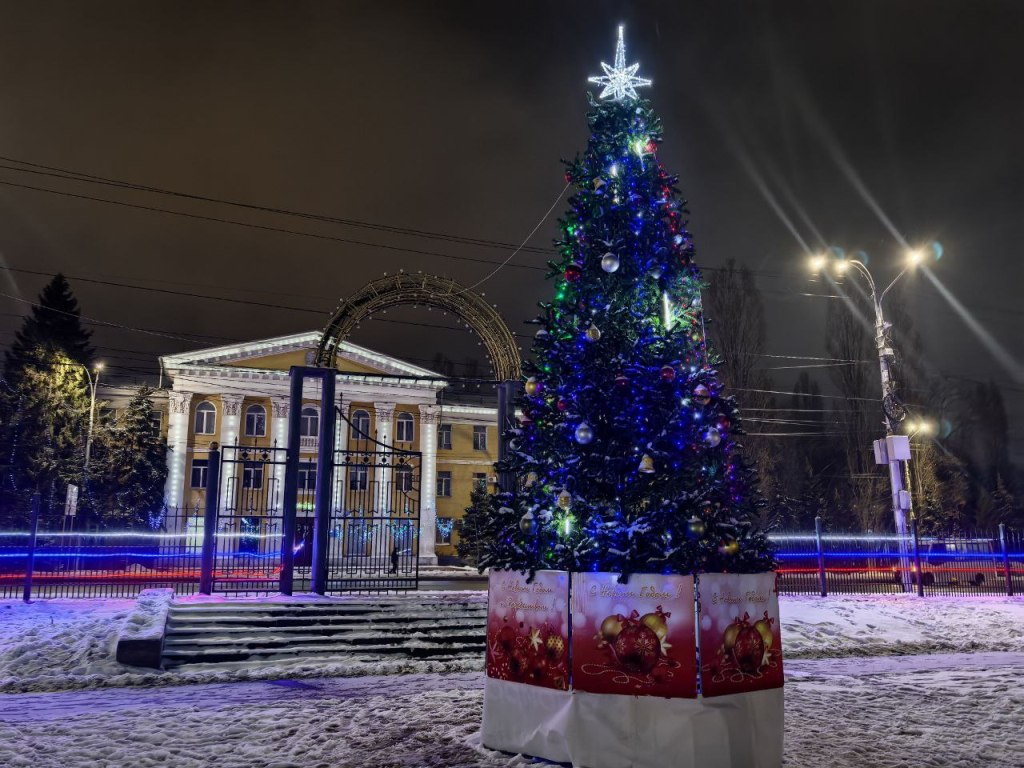 Елка в Заводском районе