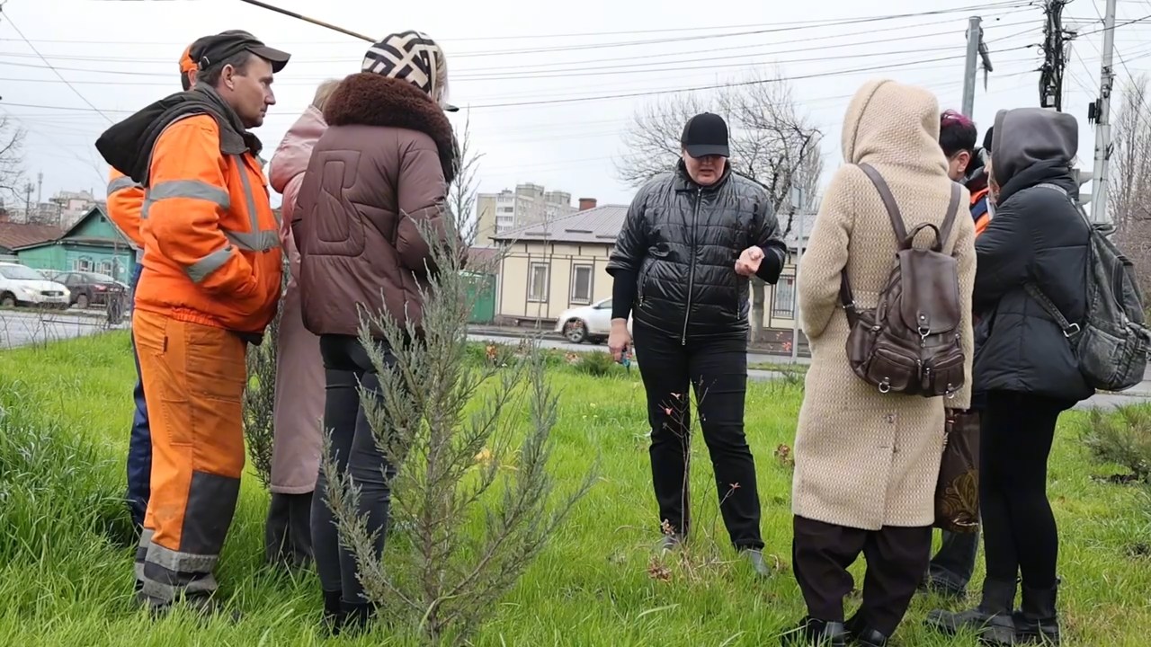 Семинар по обрезке растений