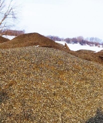 В Балаковском районе на берегу реки обнаружили гору шелухи от семечек
