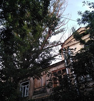 После ливня тополь упал на столетний дом в центре Саратова