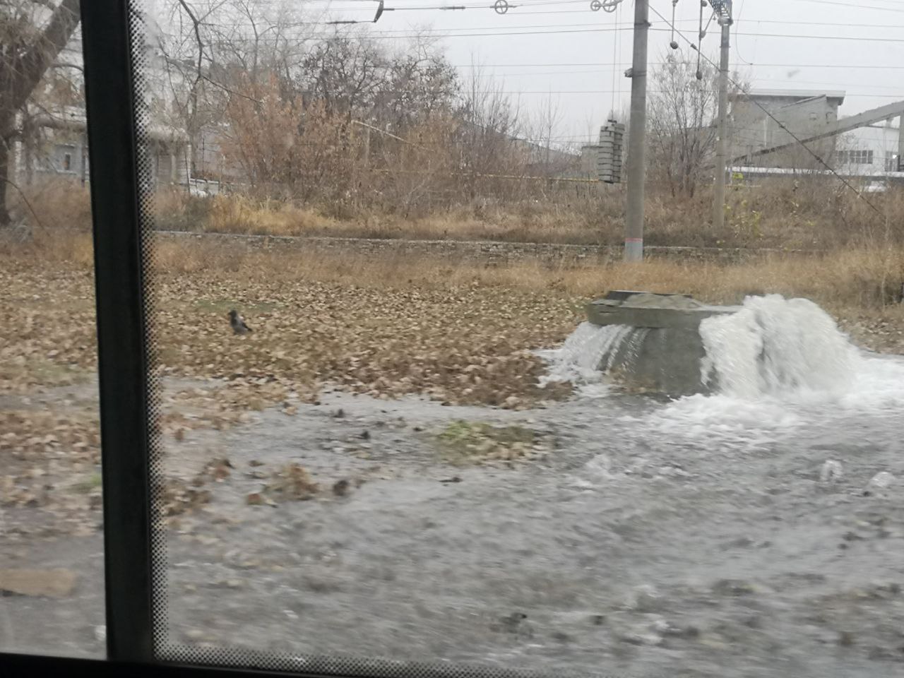 Порыв в Заводском районе