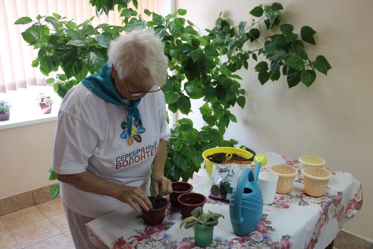 В Саратовской области бабушки выращивают цветы для воскресной школы