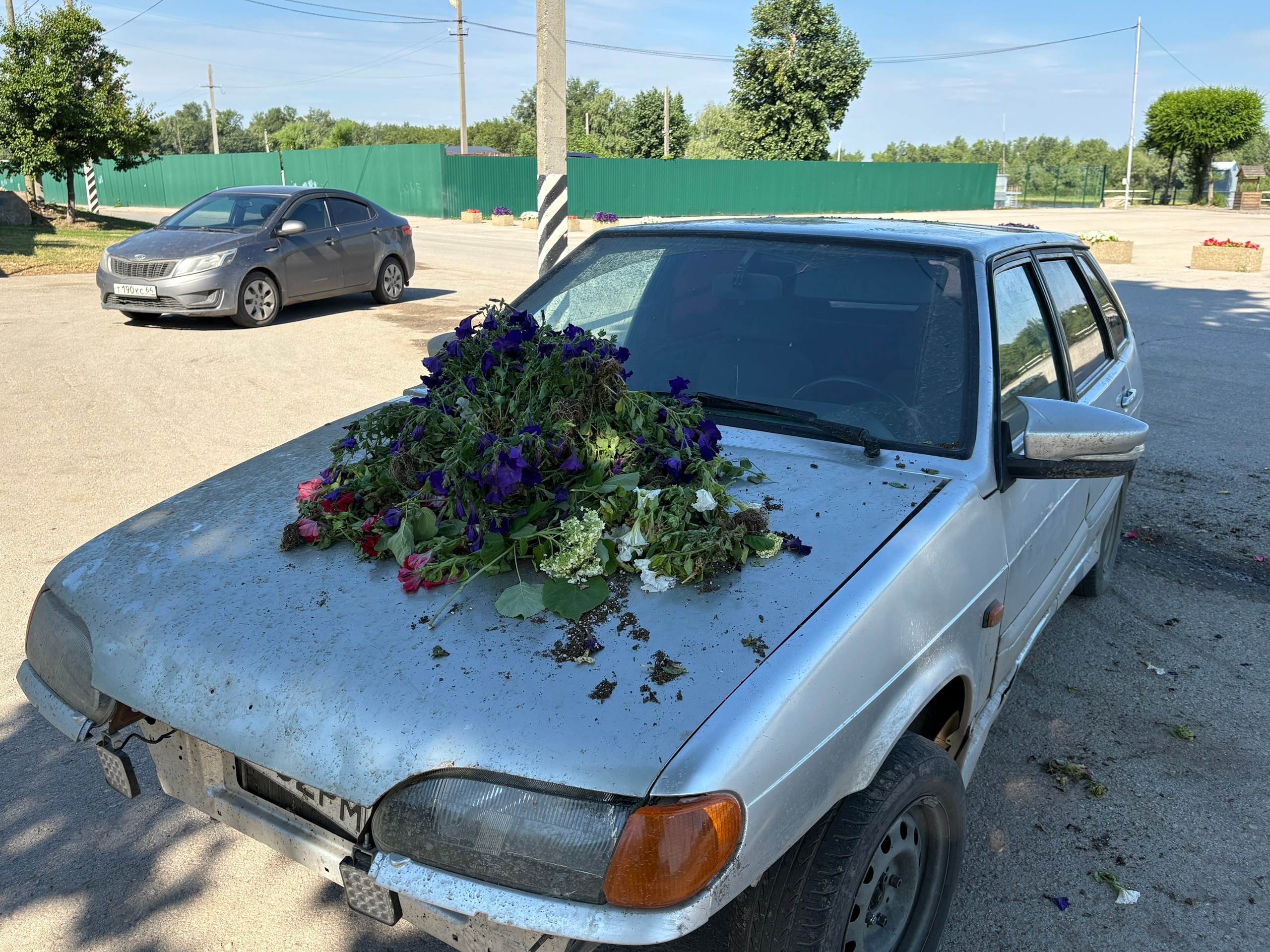 В саратовском парке вандалы вырвали из клумб цветы и забросали ими машину