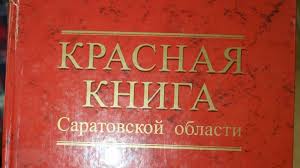 Саратовцев приглашают на выставку «Листая Красную книгу Саратовской области»