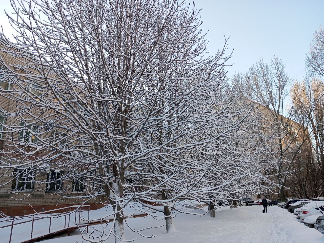 В первый день недели в Саратов возвращаются морозы