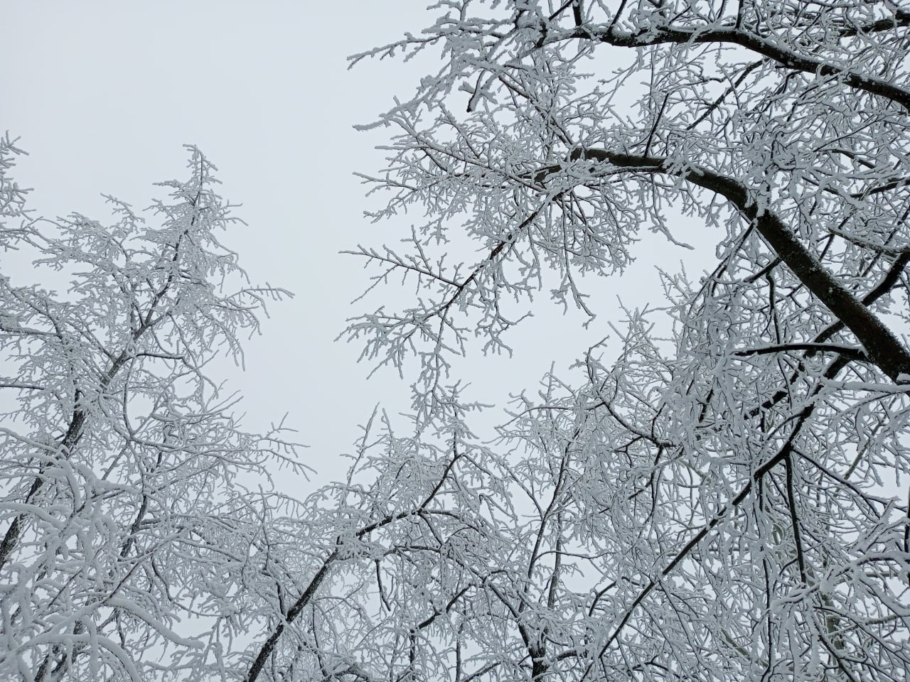 В Саратовской области сегодня ожидаются небольшие снегопады