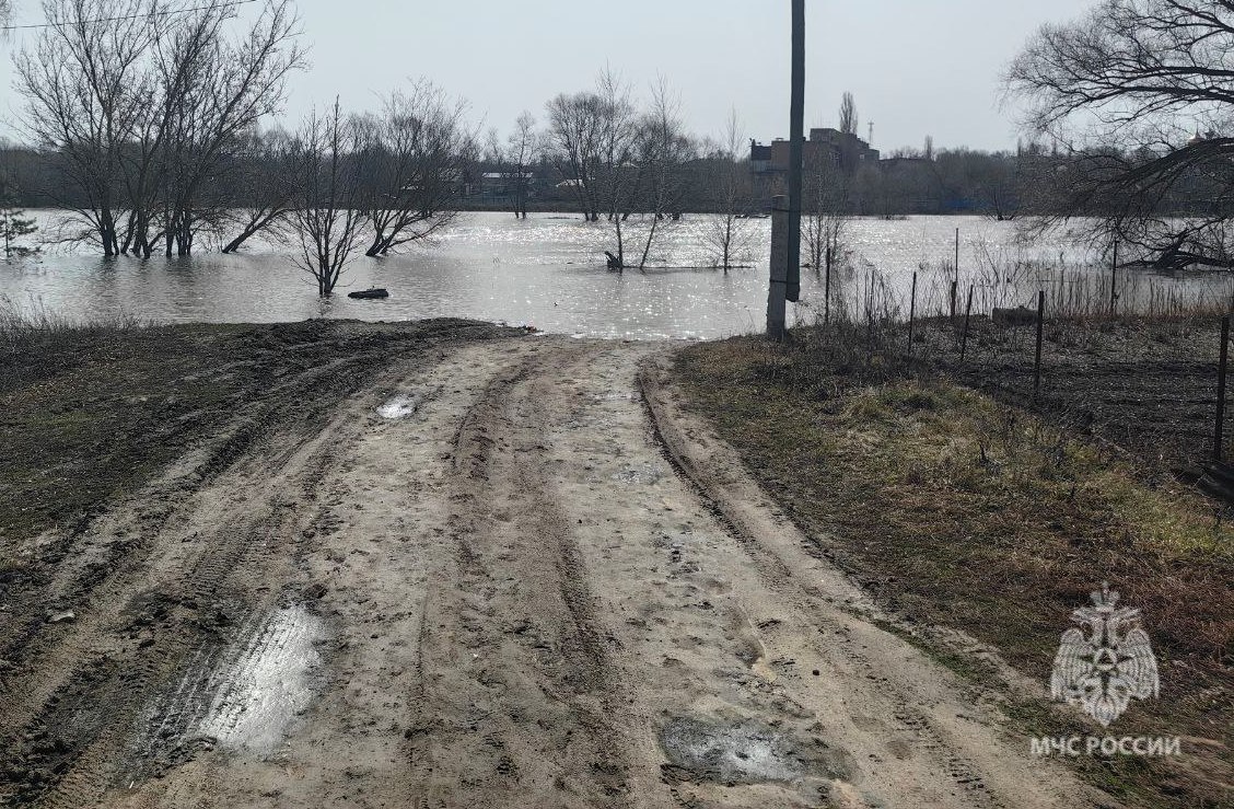 Паводок 2024: В Саратовской области невозможно добраться до 47 населенных пунктов из-за затопленных дорог