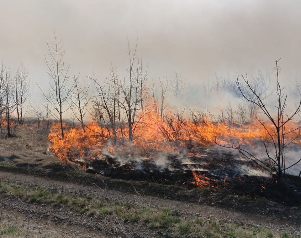 В Саратовской области с 13 мая вводят особый противопожарный режим