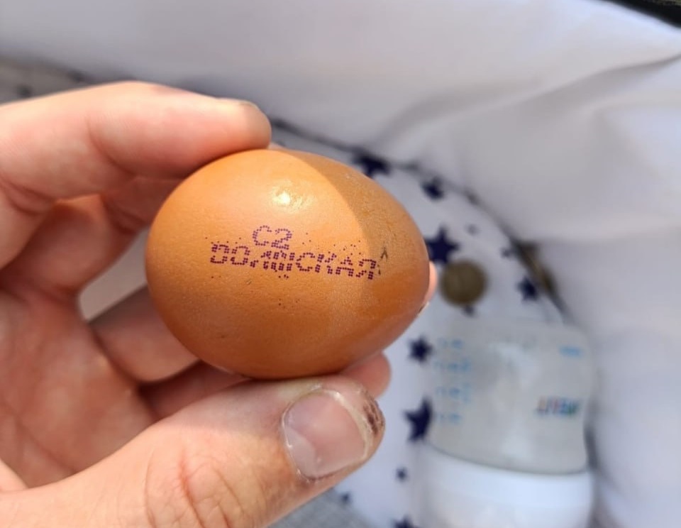 В Саратове неизвестные бросили яйцо в коляску с младенцем
