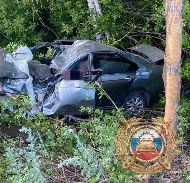 Водитель Lifan разбился, влетев в дерево, в Саратовской области
