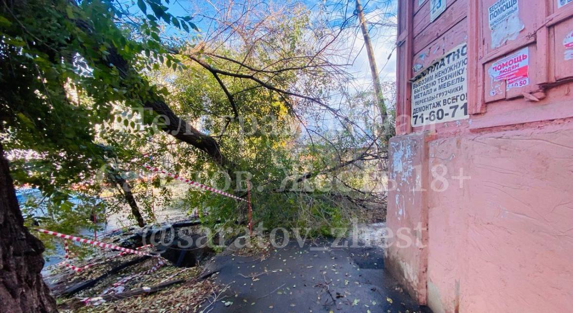 дерево рухнуло на зарубина