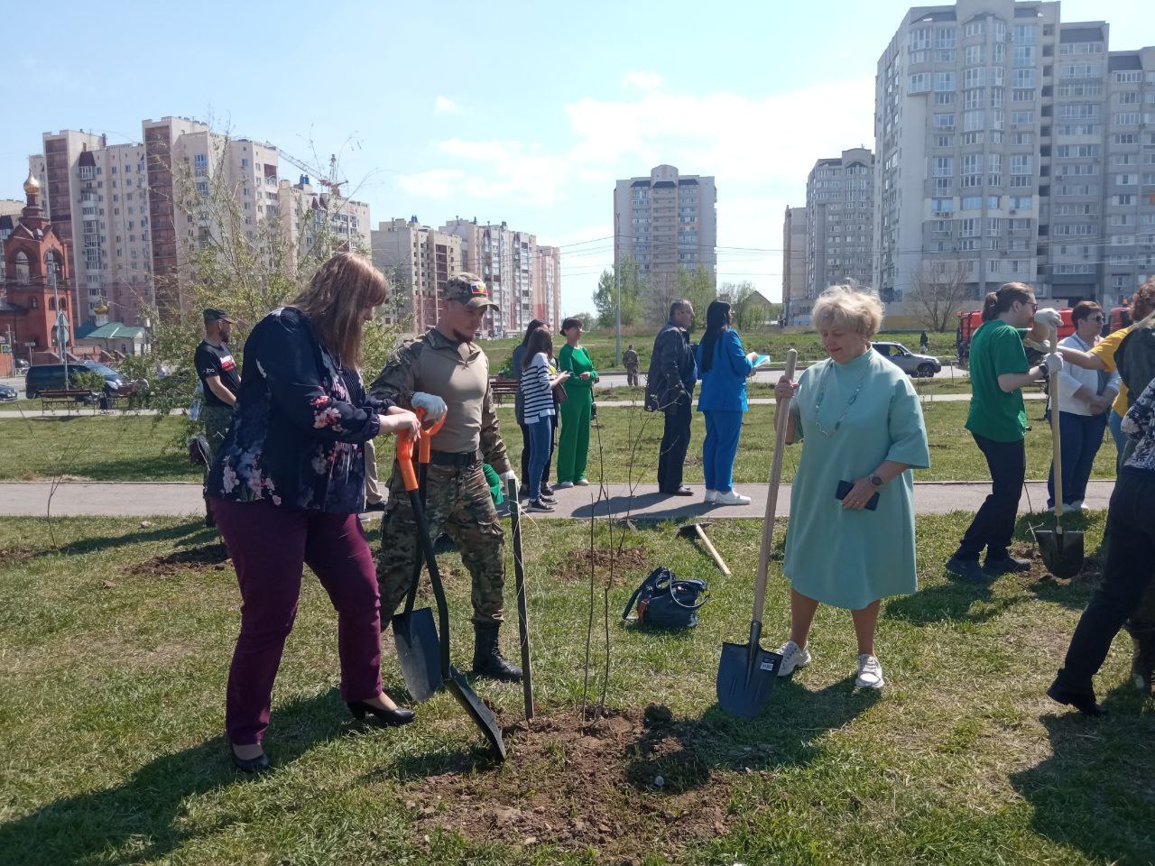 Осенью в Саратовской области высадят более 4 миллионов деревьев