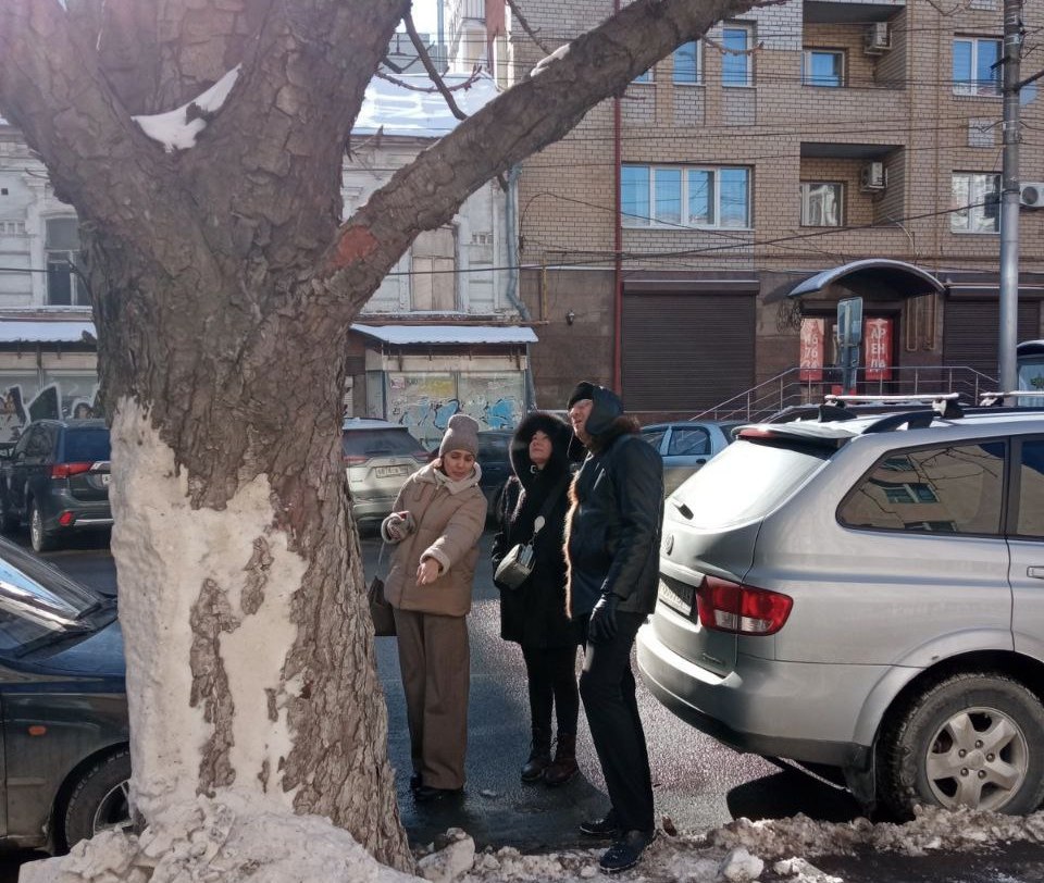 В центре Саратова вырубят каштановую аллею