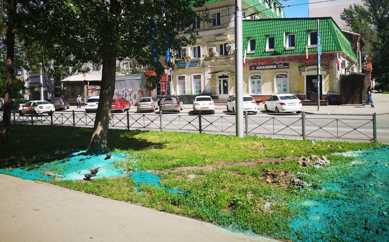Цветной газон на Чапаева в Саратове 1