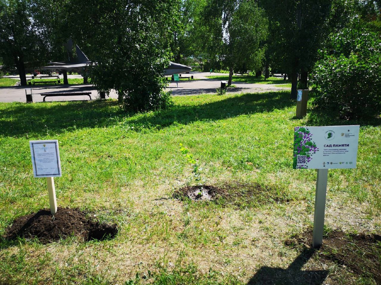 акция "Сад Памяти"
