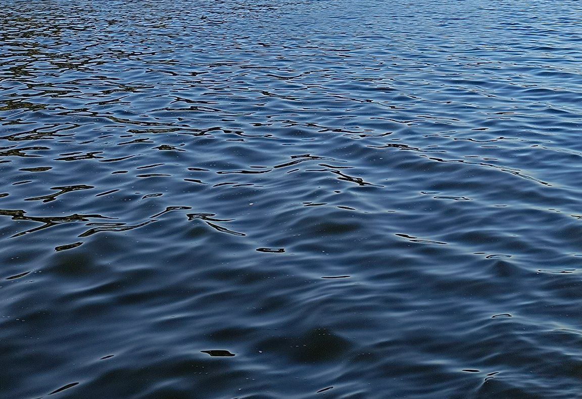 Из саратовского водоема выловили труп неизвестного