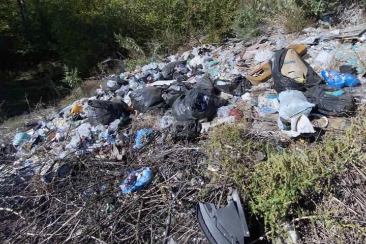 Росприроднадзор обнаружил несанкционированную свалку в Вольском районе