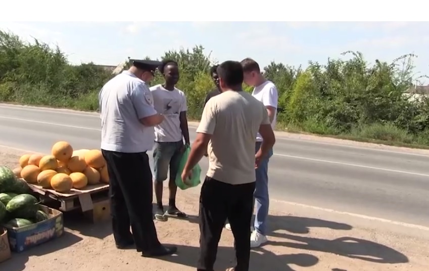 Саратовские полицейские ловили нелегалов на точках с дынями и арбузами