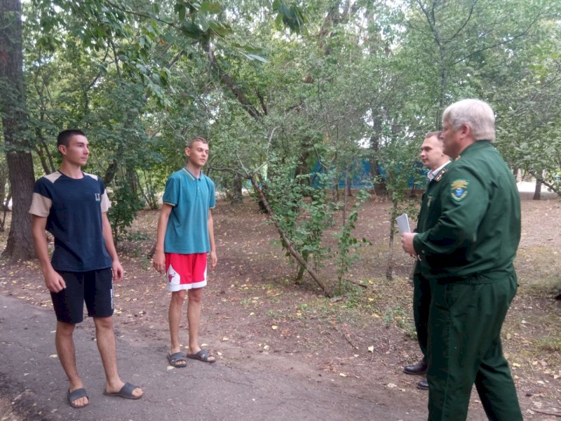 В Саратовской области основными причинами пожаров являются разведение костров в лесу и сельхоз палы