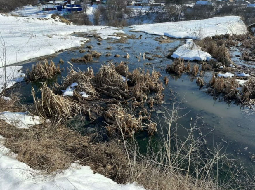 В Саратовской области неизвестные загрязнили землю сточными водами