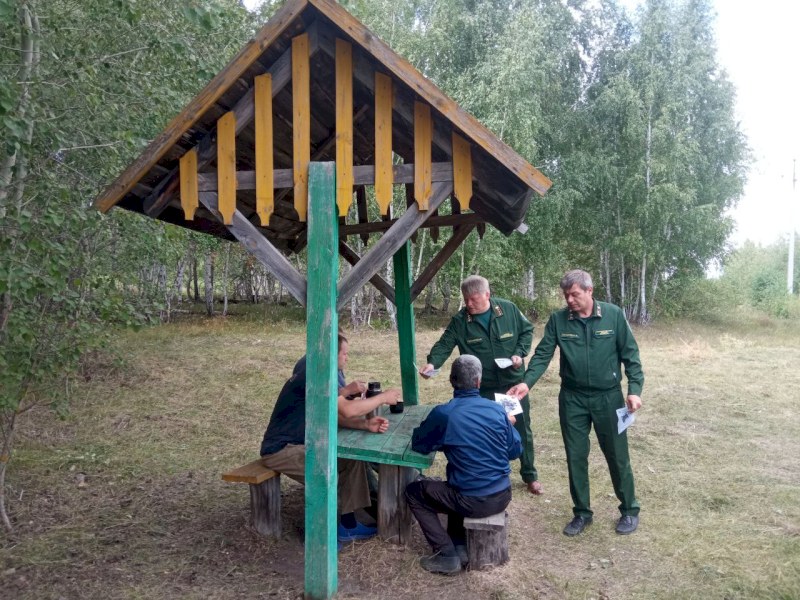 Саратовские леса от огня защищают 15 тысяч километров минерализованных полос