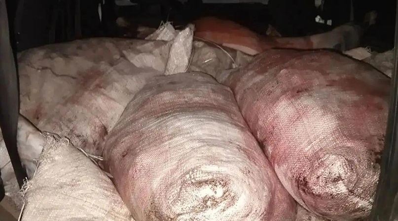 На саратовской трассе задержали грузовик с подозрительными тушами баранов