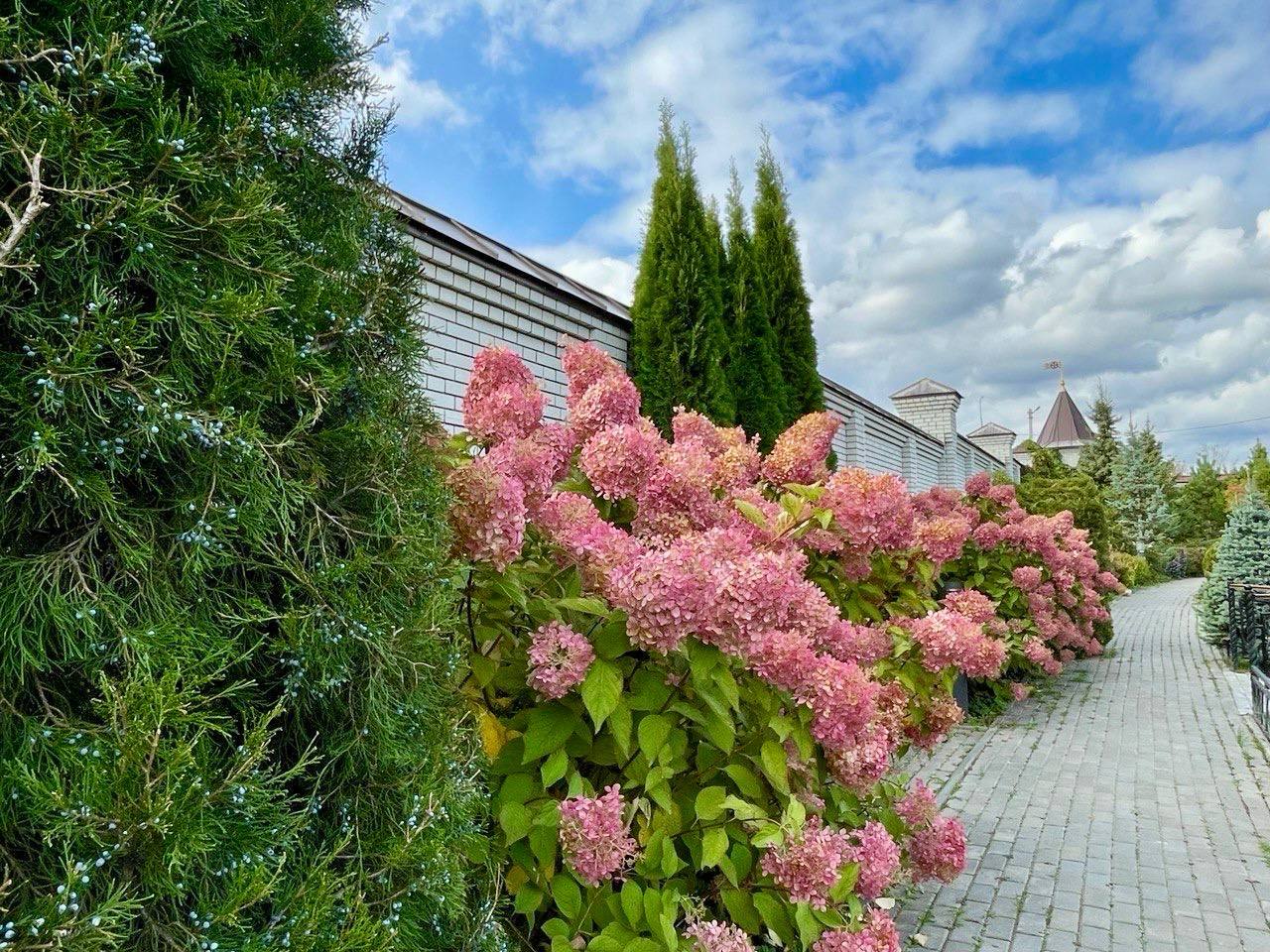 Алексеевский монастырь октябрь 2025 1