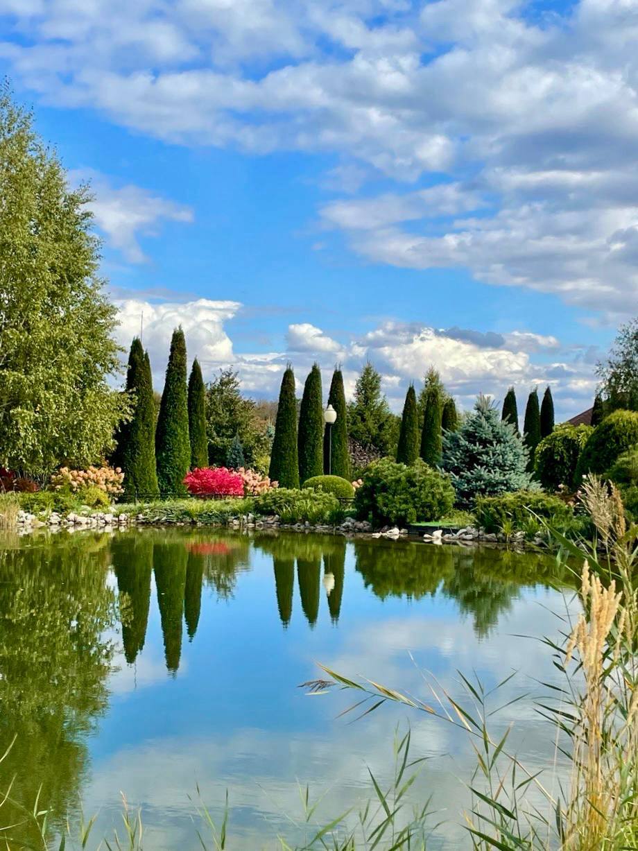 Алексеевский монастырь октябрь 2025 2