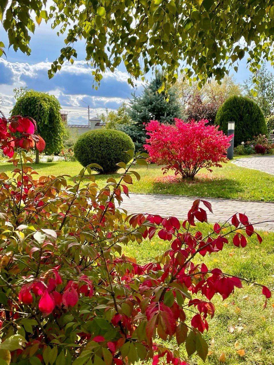 Алексеевский монастырь октябрь 2025 3