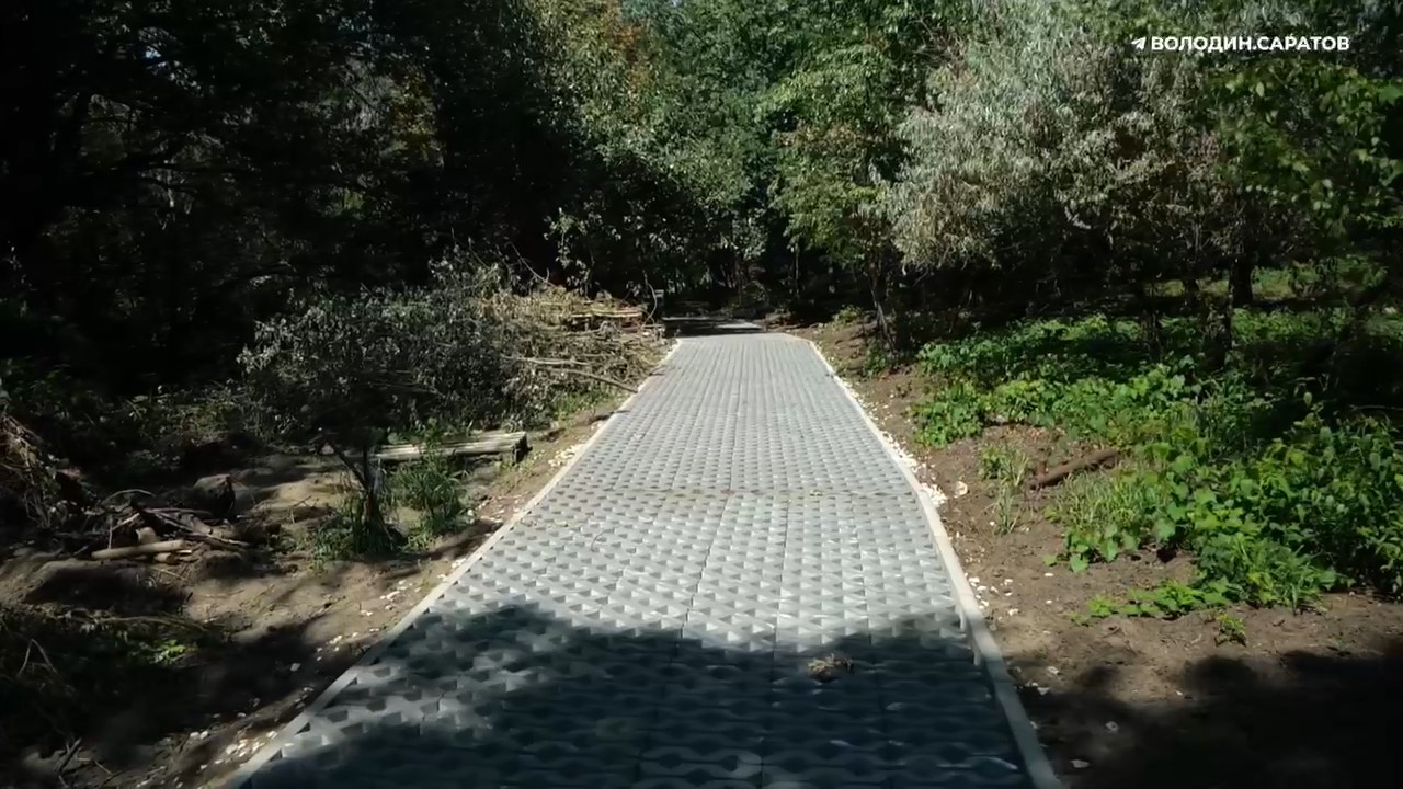 Ботсад СГУ 28 07 2025