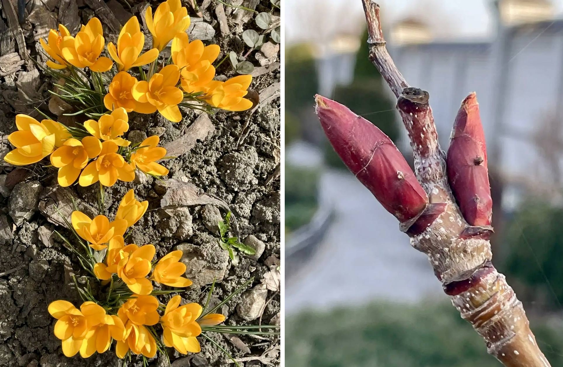 Иоанновский монастырь весна 2026 еще