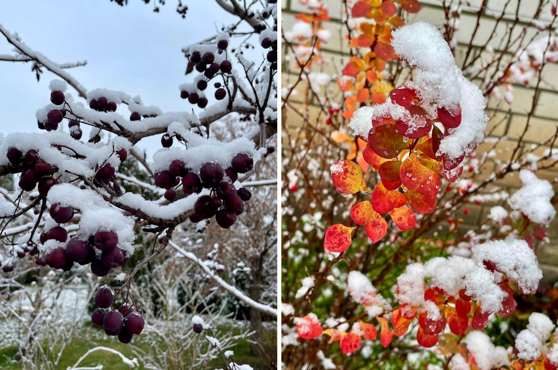 Первый снег в Алексеевке 3