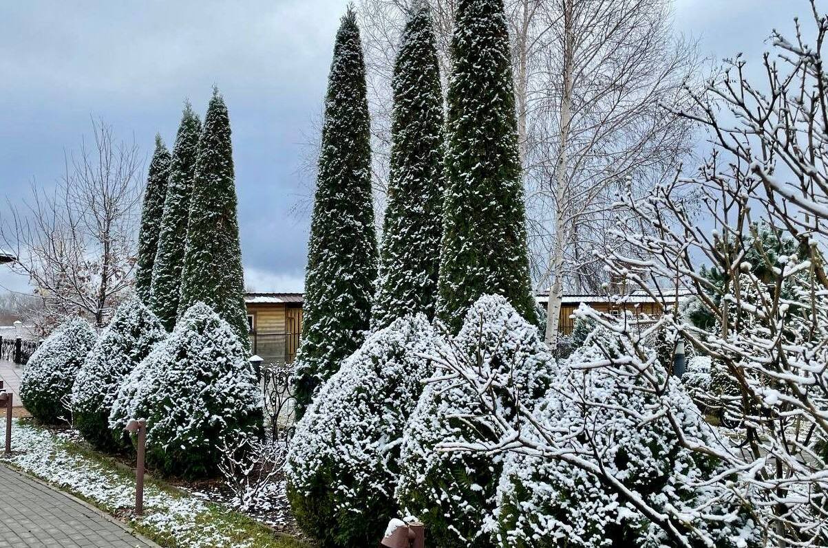 Первый снег в Алексеевке 4