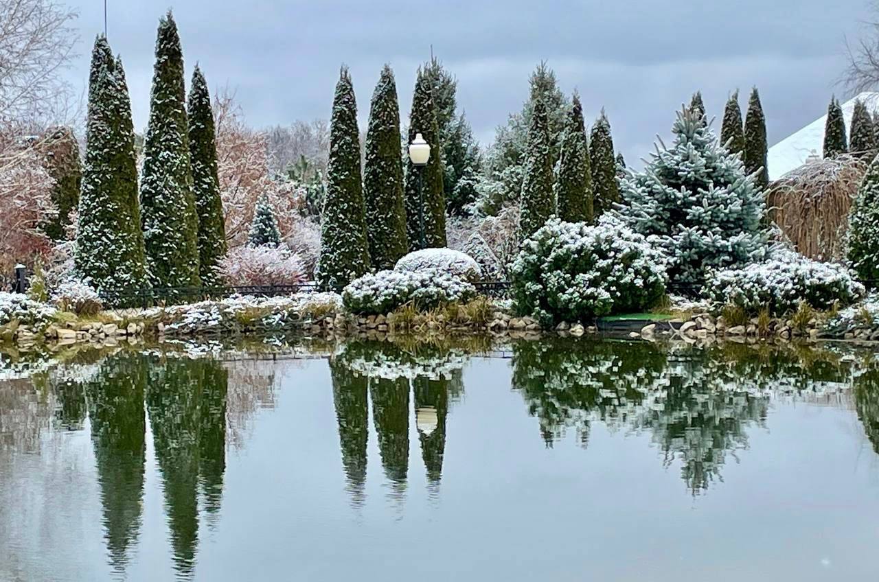 Первый снег в Алексеевке 1