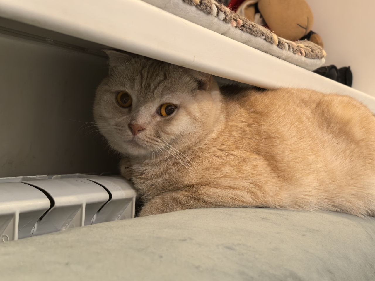 Дождь и сильный ветер прогнозируются в Саратовской области 23 апреля