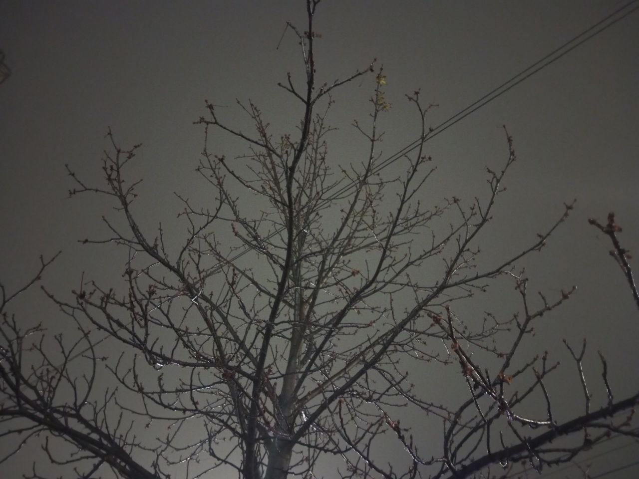 Без осадков пройдет воскресенье в Саратовской области Без осадков пройдет воскресенье в Саратовской области