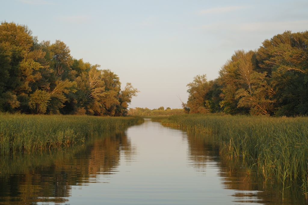 В День народного единства в Саратовской области будет сухо и туманно